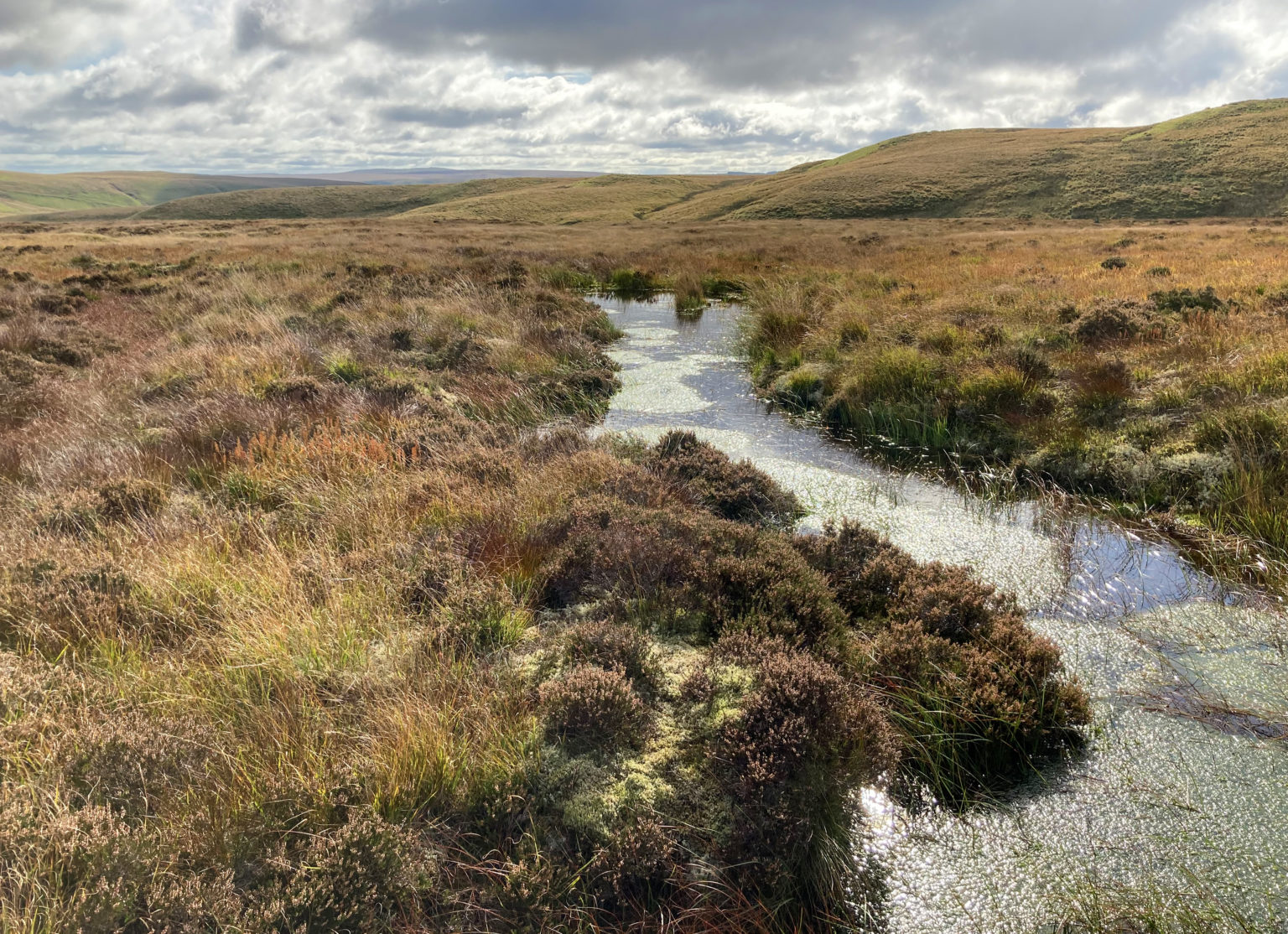 Nature | Elan Valley