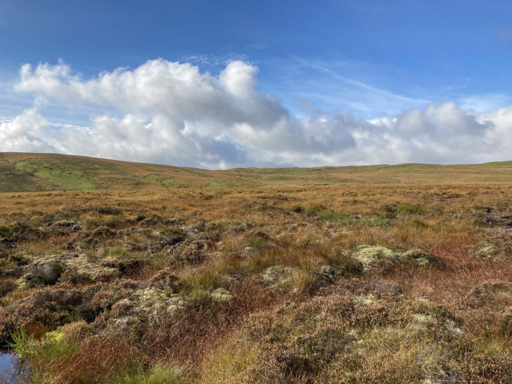 Rhos upland ©Jonathan Davies